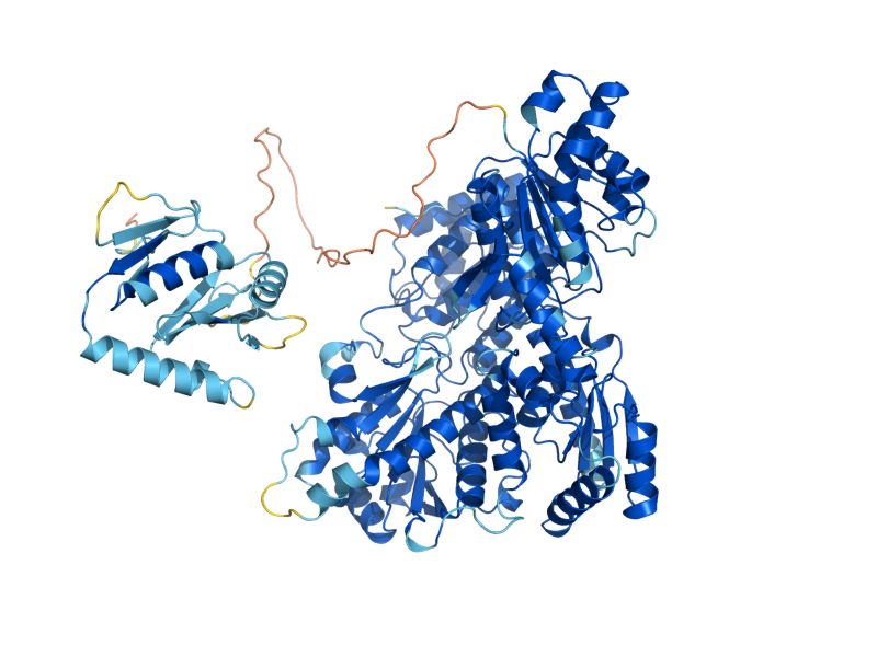 AlphaFold predicted structure of PFK2