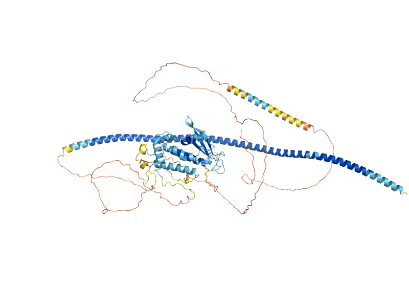AlphaFold predicted structure of SEC2