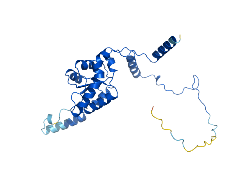 AlphaFold predicted structure of RPL8A