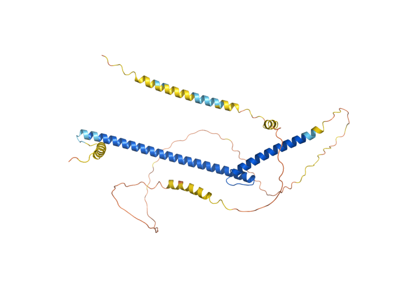AlphaFold predicted structure of CBF1