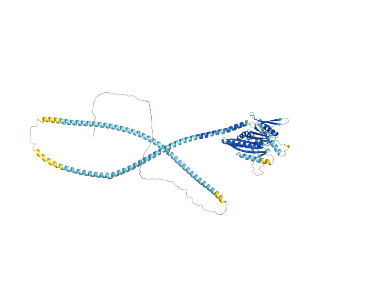 AlphaFold predicted structure of KAR3