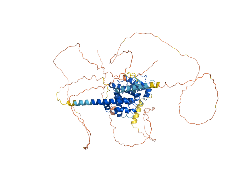 AlphaFold predicted structure of SAC7