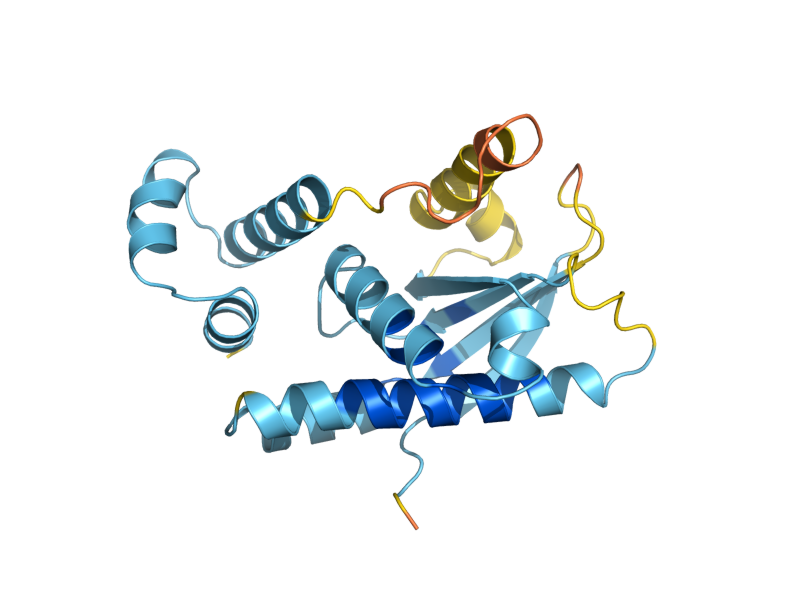 AlphaFold predicted structure of SPO16