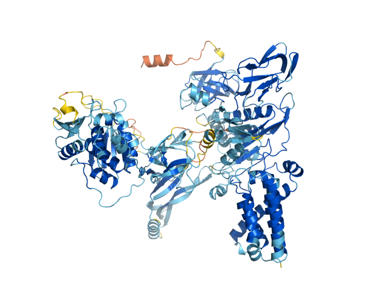 AlphaFold predicted structure of VMA1