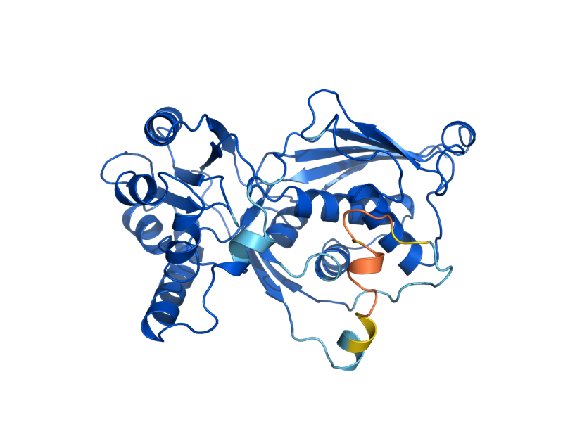 AlphaFold predicted structure of THR1