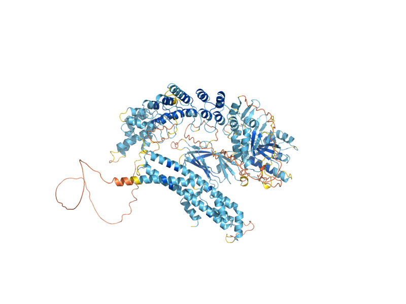 AlphaFold predicted structure of PHO81