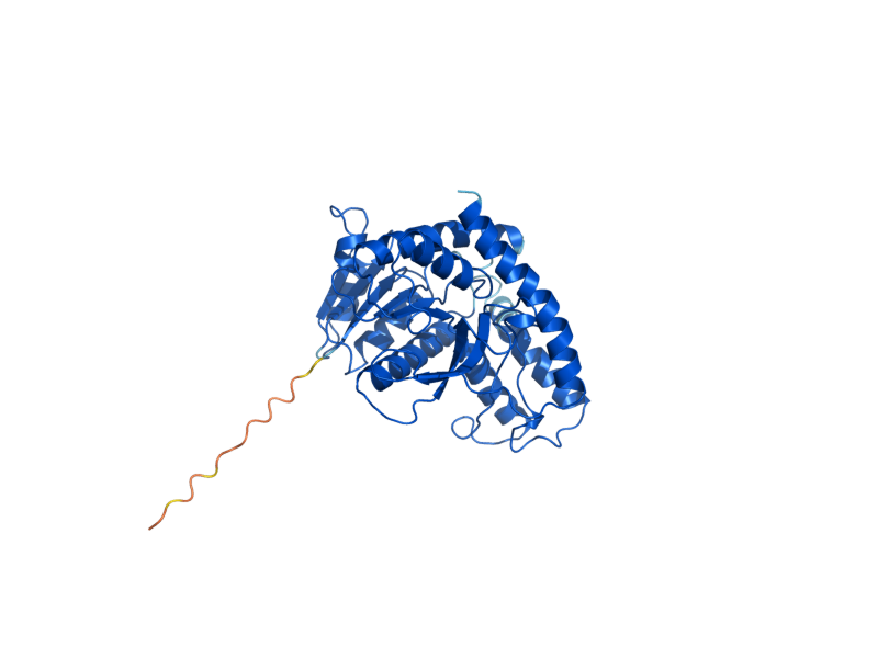 AlphaFold predicted structure of MDH1