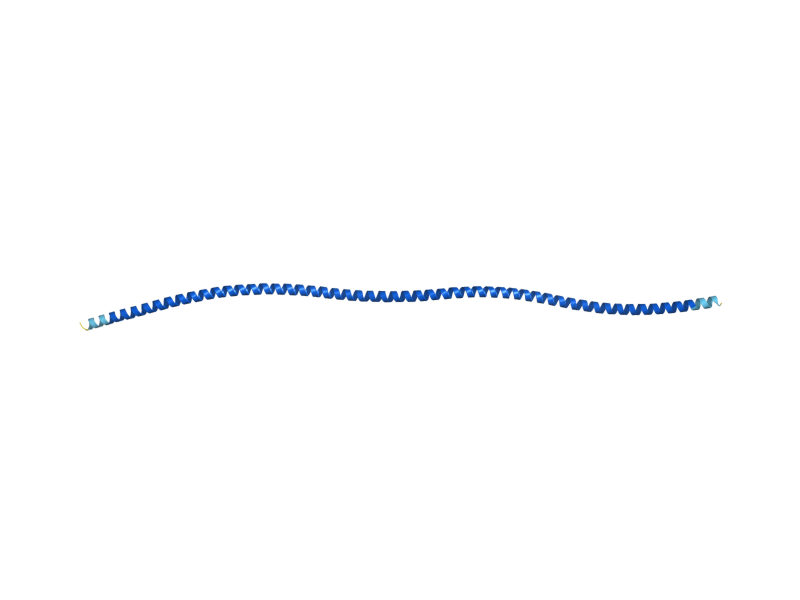 AlphaFold predicted structure of TPM1
