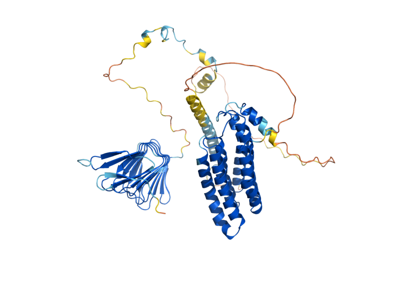AlphaFold predicted structure of SRV2