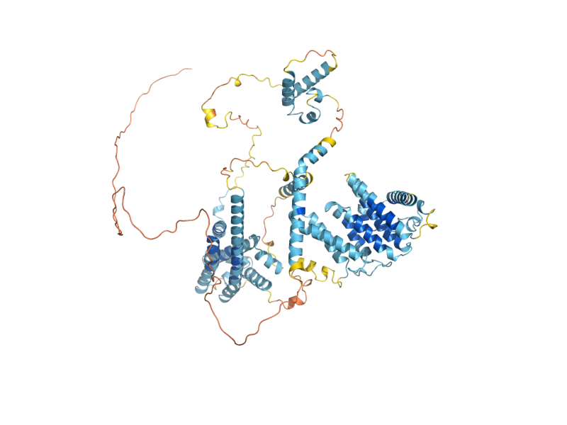 AlphaFold predicted structure of HPR1