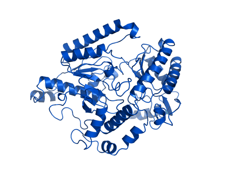 AlphaFold predicted structure of UGA1