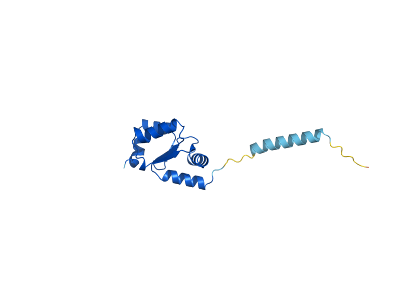 AlphaFold predicted structure of GRX2