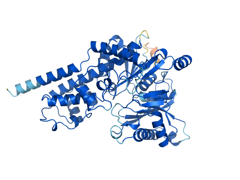 AlphaFold predicted structure of GLK1