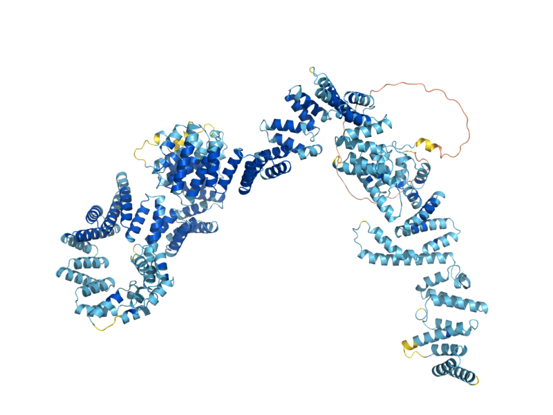 AlphaFold predicted structure of SKI3