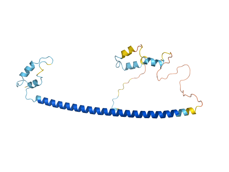 AlphaFold predicted structure of CLC1