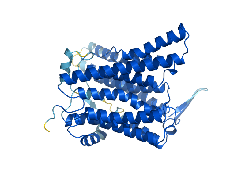 AlphaFold predicted structure of CPT1