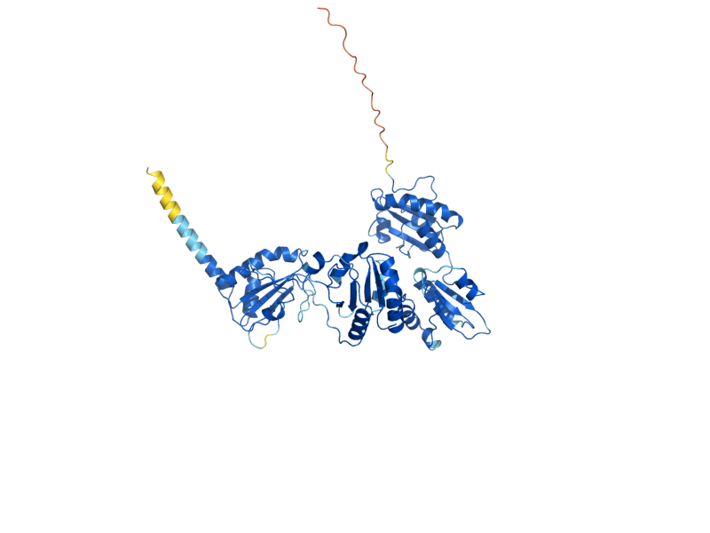 AlphaFold predicted structure of PDI1