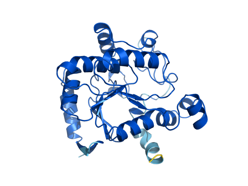 AlphaFold predicted structure of MET16