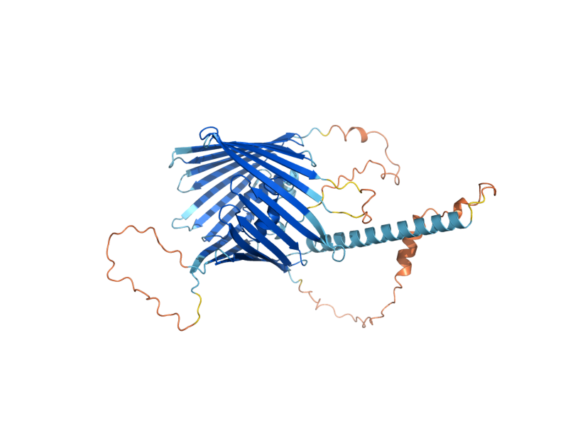 AlphaFold predicted structure of MDM10
