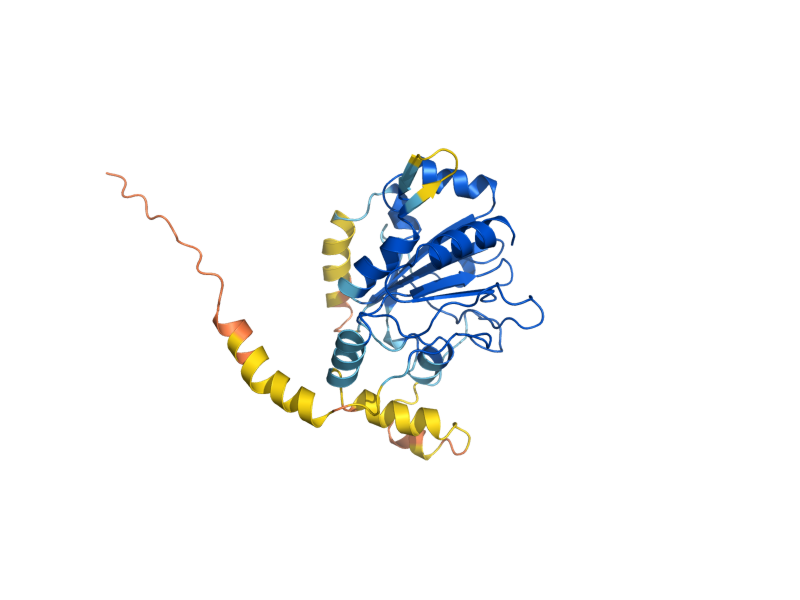 AlphaFold predicted structure of ATP10