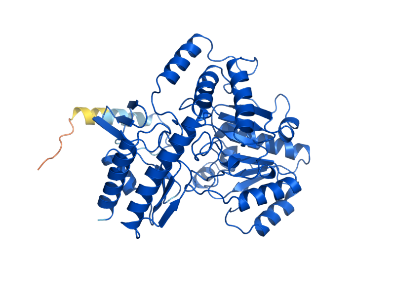 AlphaFold predicted structure of ARG8