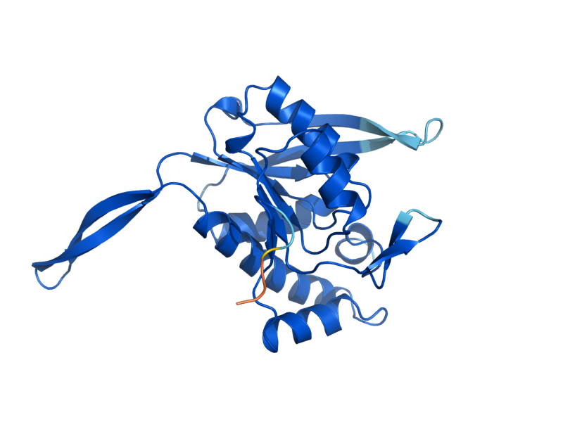AlphaFold predicted structure of FUR1