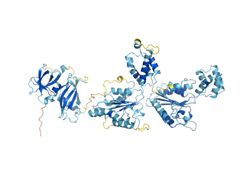 AlphaFold predicted structure of SEC18