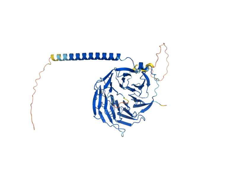 AlphaFold predicted structure of STE4