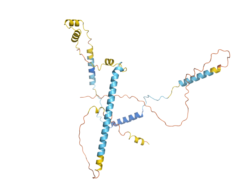 AlphaFold predicted structure of SNF6