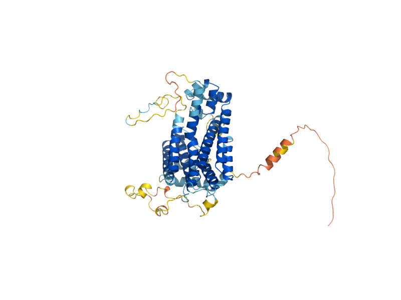 AlphaFold predicted structure of COQ1