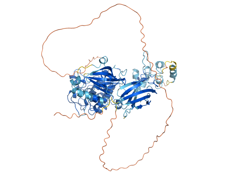 AlphaFold predicted structure of YPK2
