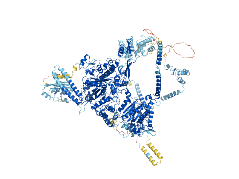 AlphaFold predicted structure of FAS2
