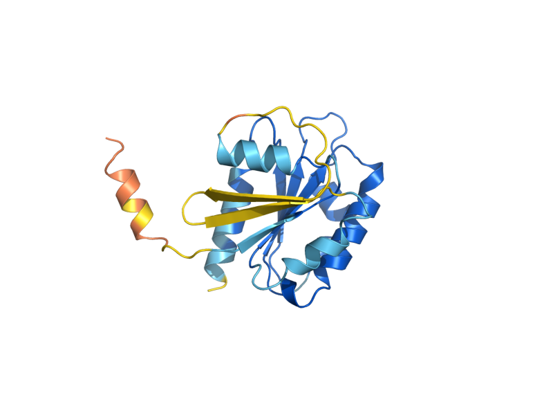 AlphaFold predicted structure of ARF2