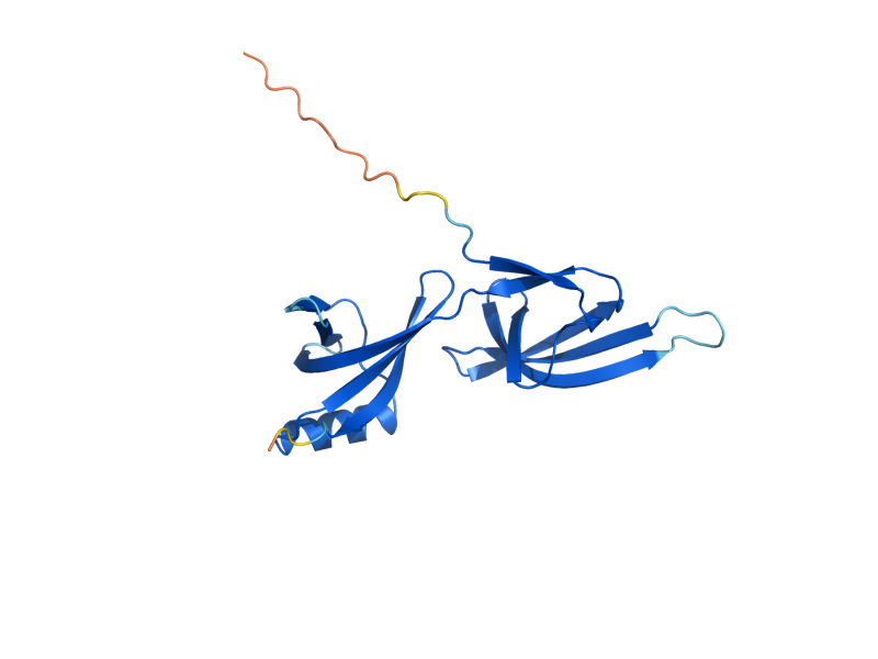 AlphaFold predicted structure of ANB1