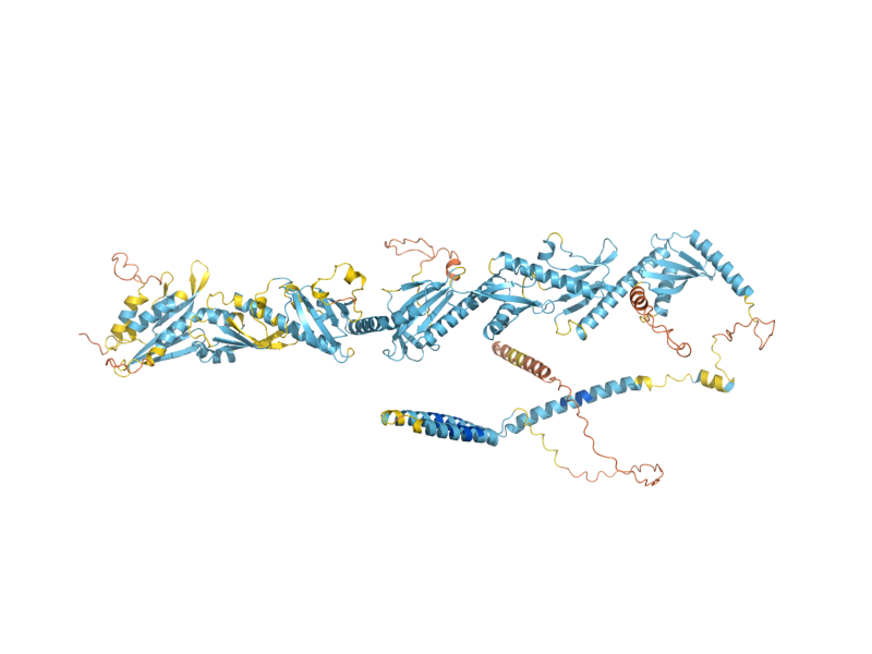 AlphaFold predicted structure of RGR1