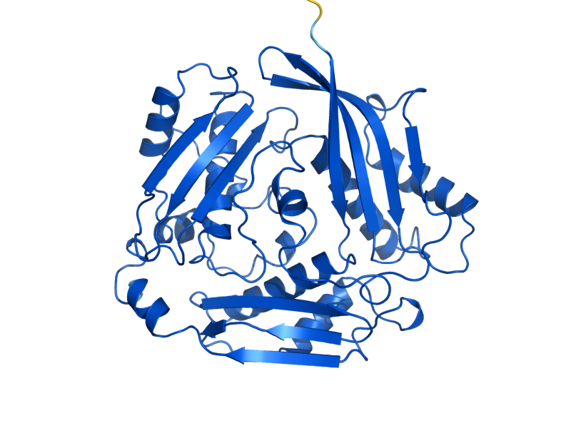 AlphaFold predicted structure of SAM2