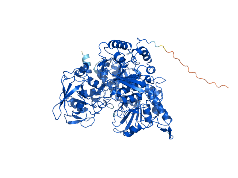 AlphaFold predicted structure of ACO1