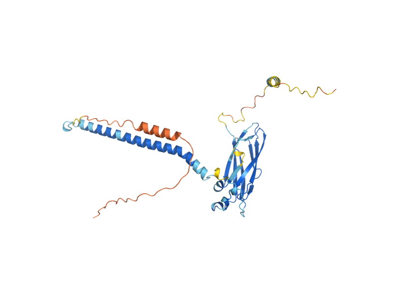 AlphaFold predicted structure of COX11