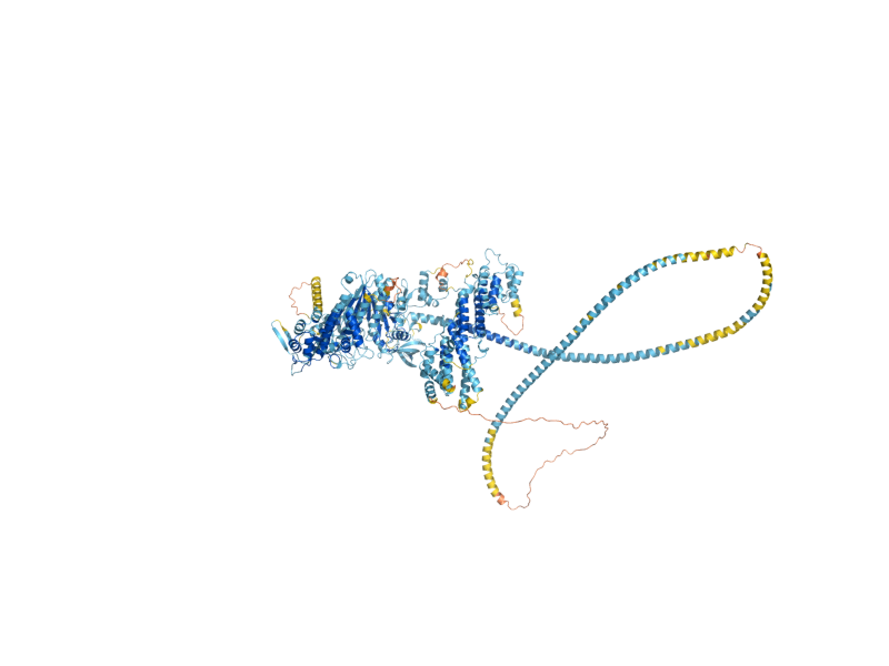 AlphaFold predicted structure of MYO2