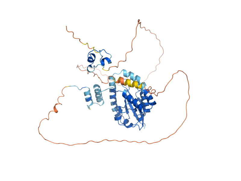 AlphaFold predicted structure of RDS2