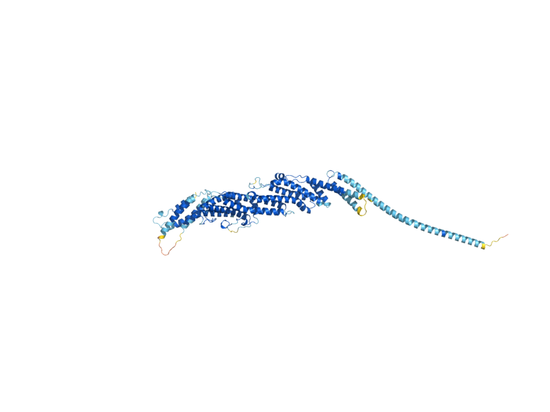 AlphaFold predicted structure of EXO70