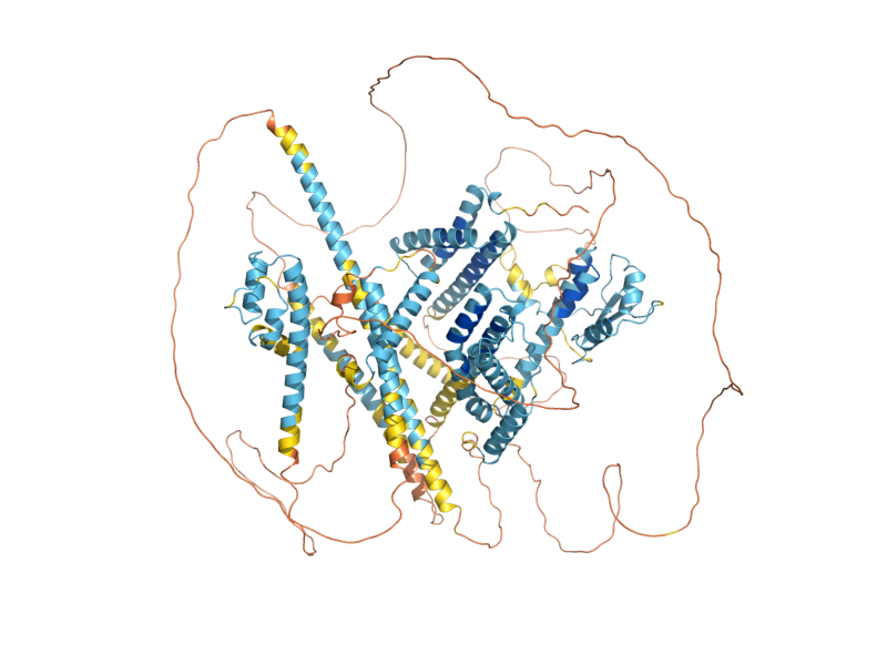 AlphaFold predicted structure of GAL11