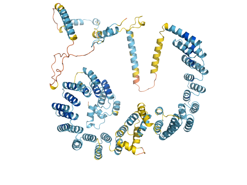 AlphaFold predicted structure of PRP6