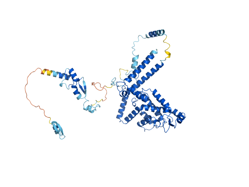 AlphaFold predicted structure of PRP9