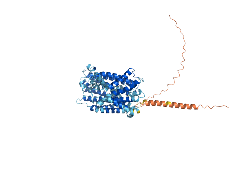 AlphaFold predicted structure of HNM1