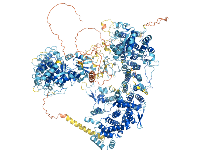 AlphaFold predicted structure of UBR1