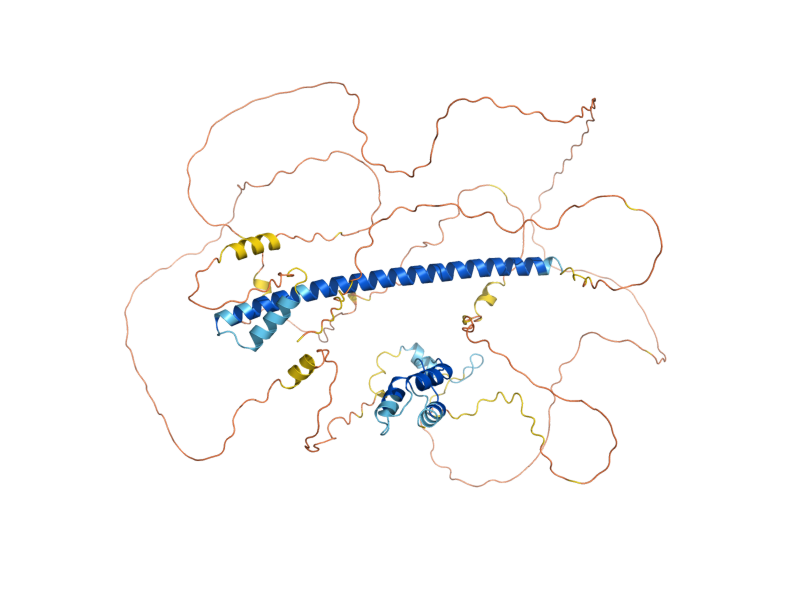 AlphaFold predicted structure of YAP1