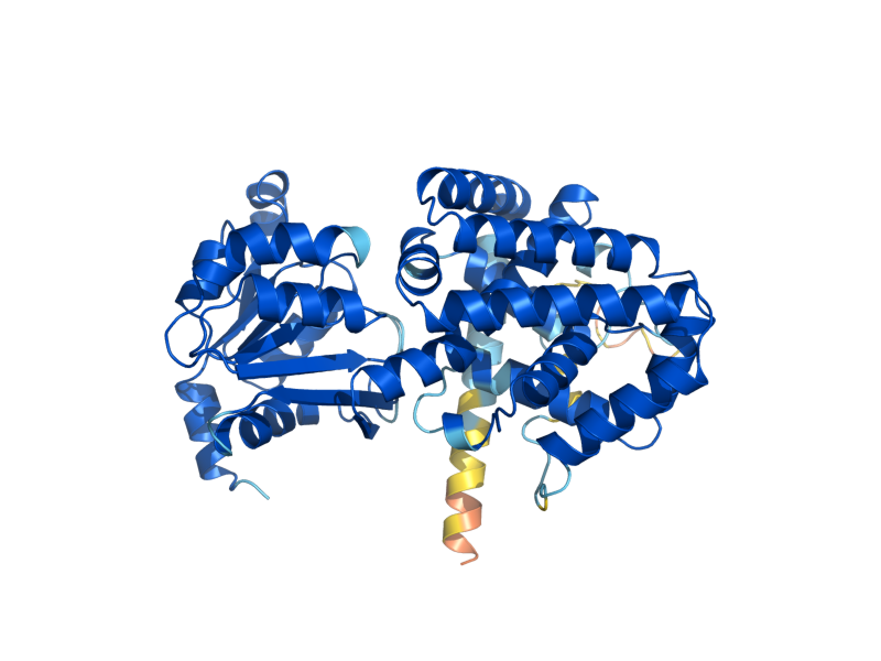 AlphaFold predicted structure of TYR1