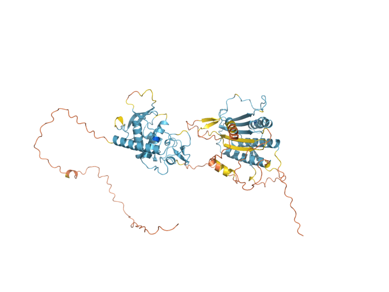 AlphaFold predicted structure of HOP1