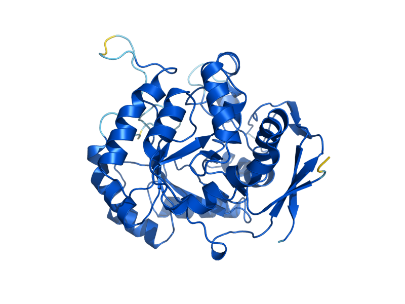 AlphaFold predicted structure of URA4